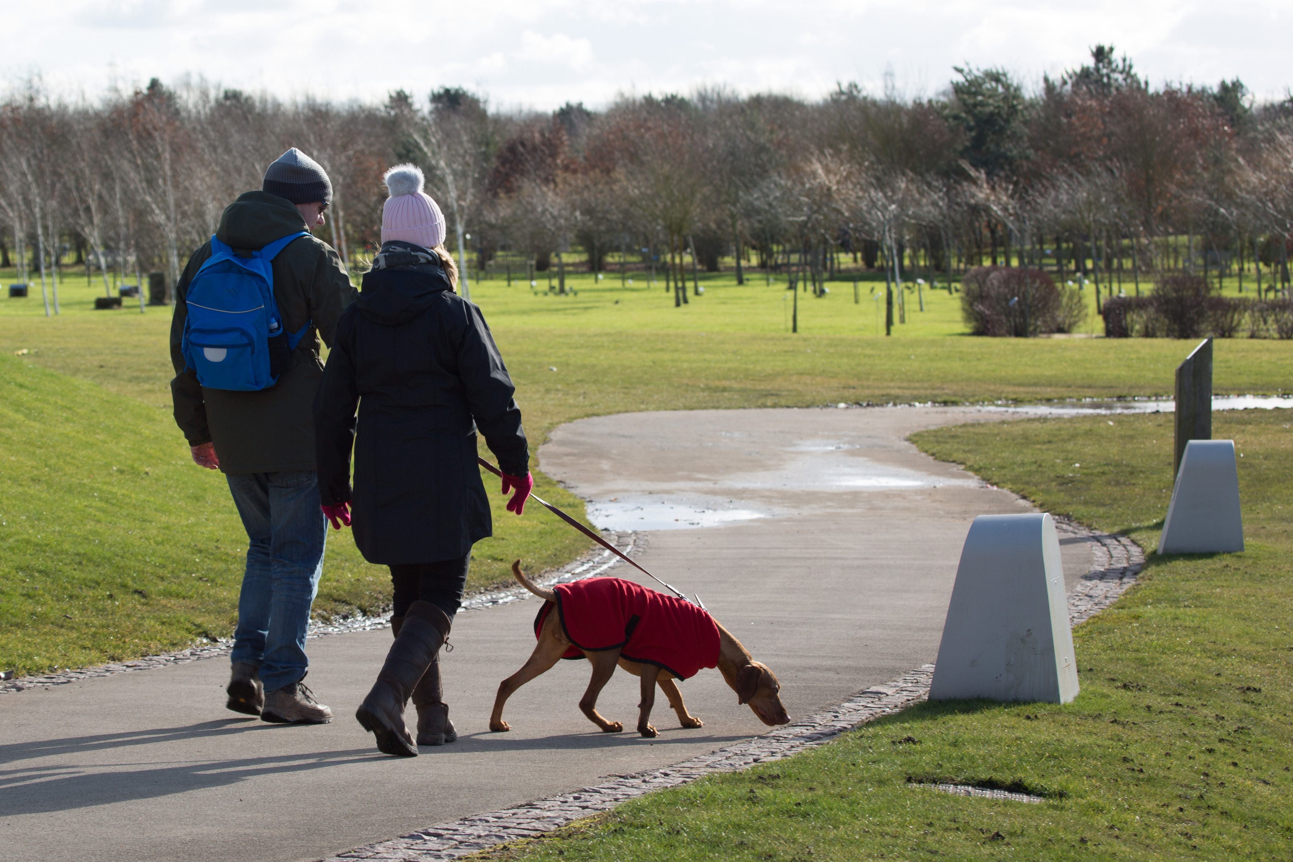 Dogs at the Arboretum