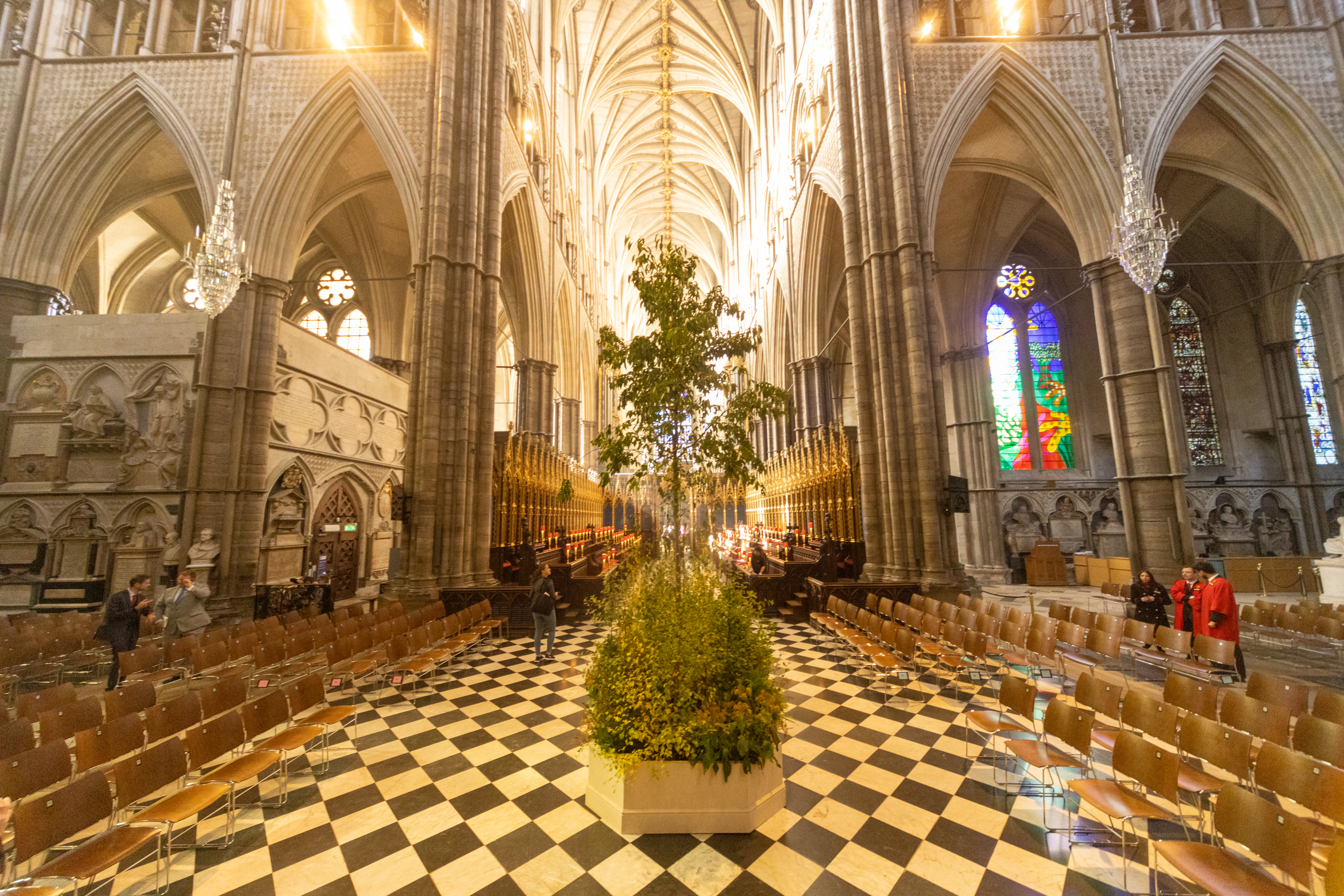 Sapling to be blessed during Trees of Life service [Credit Picture PartnershipWestminster Abbey]