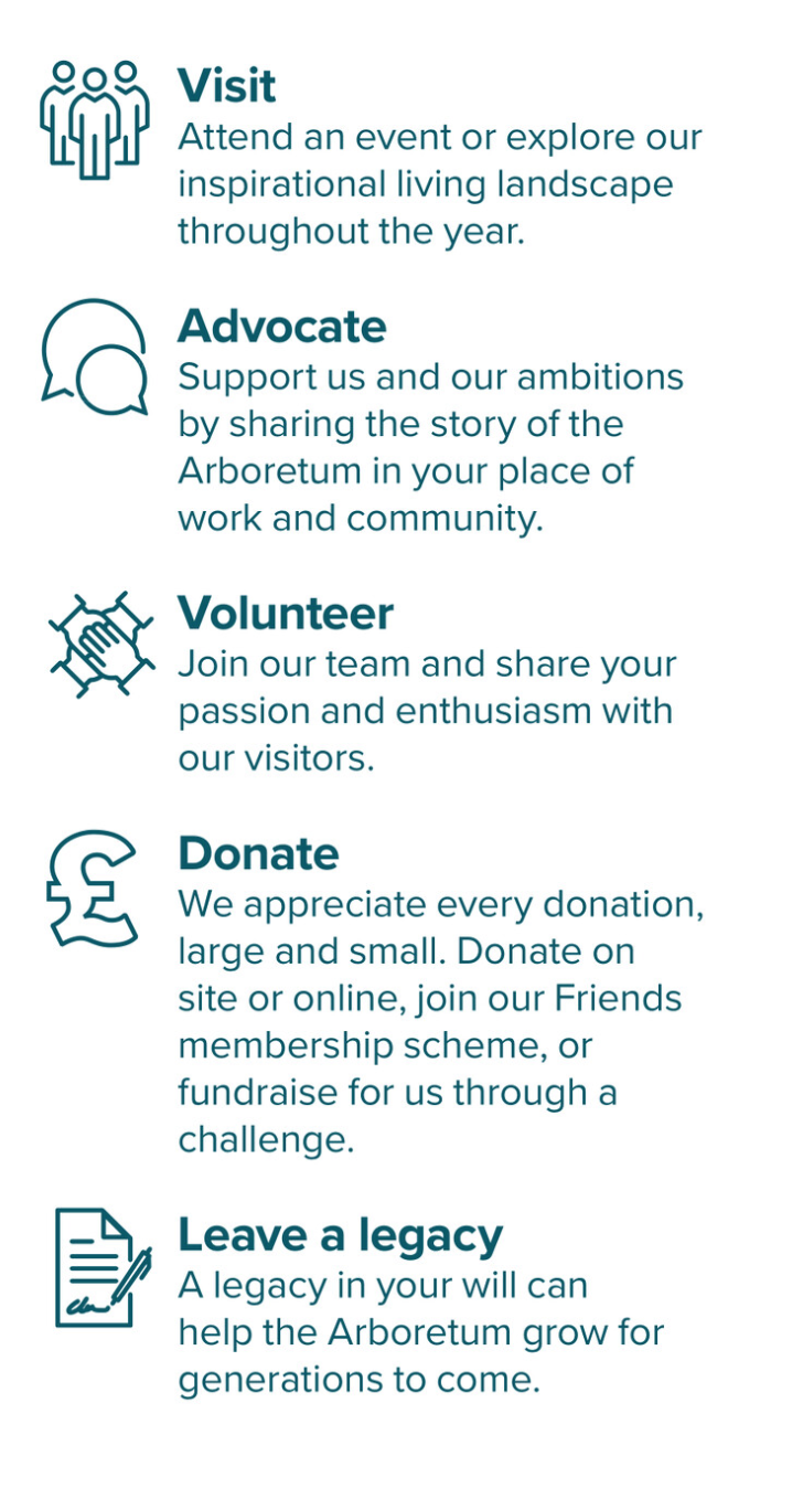 MicrosoftTeams-image