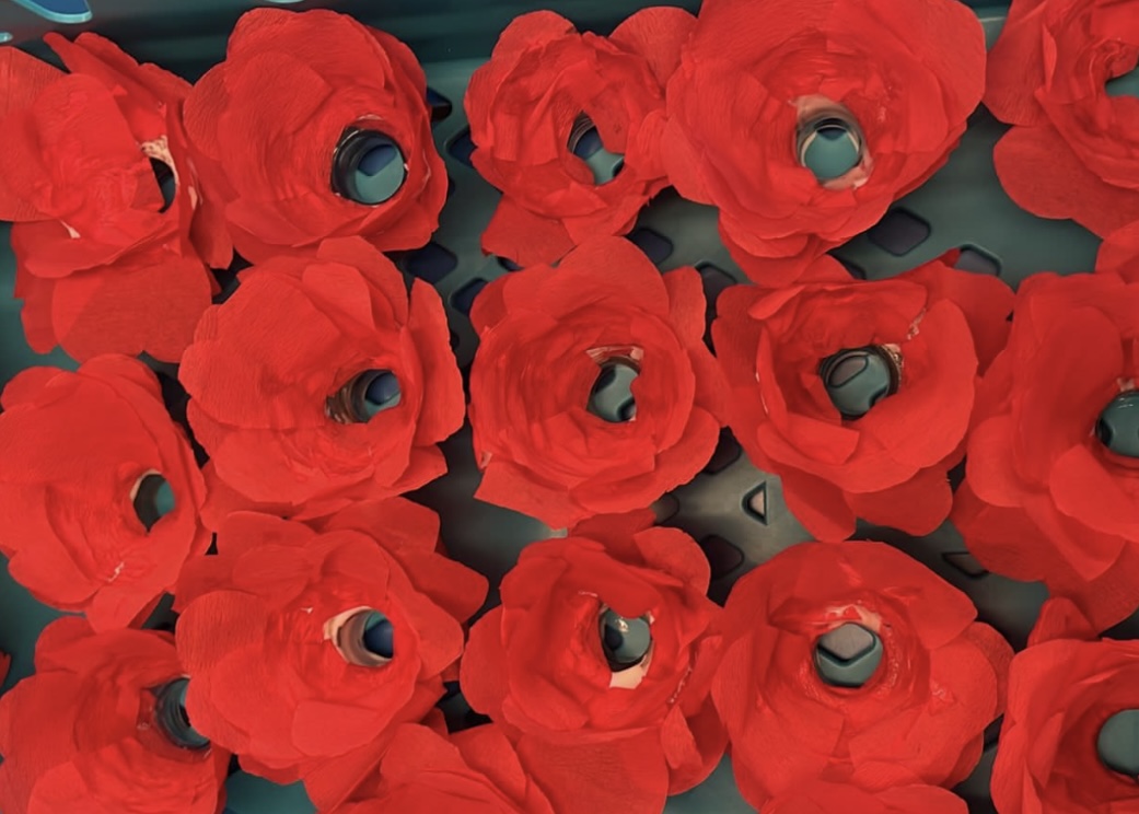 Flowers of Remembrance