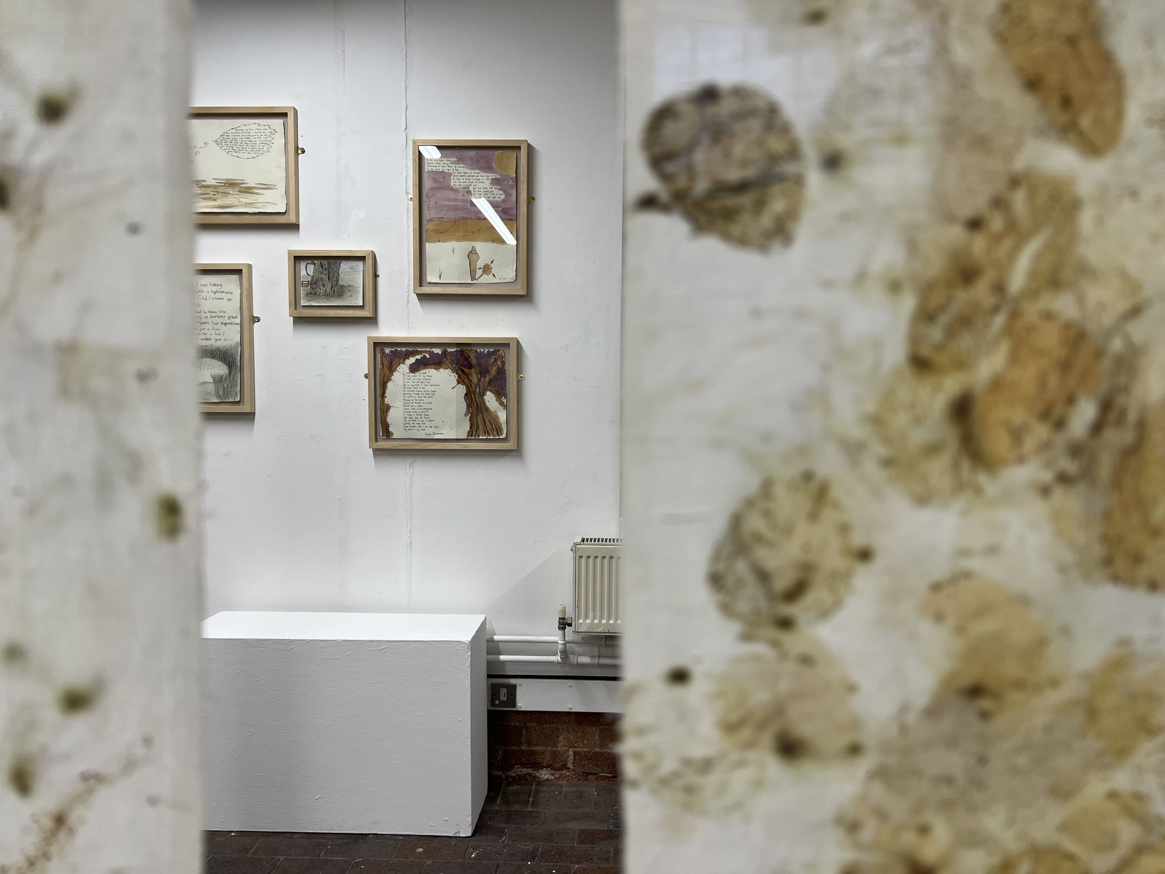 The Breaking Ground exhibition on display at Brewhouse Arts Cafe