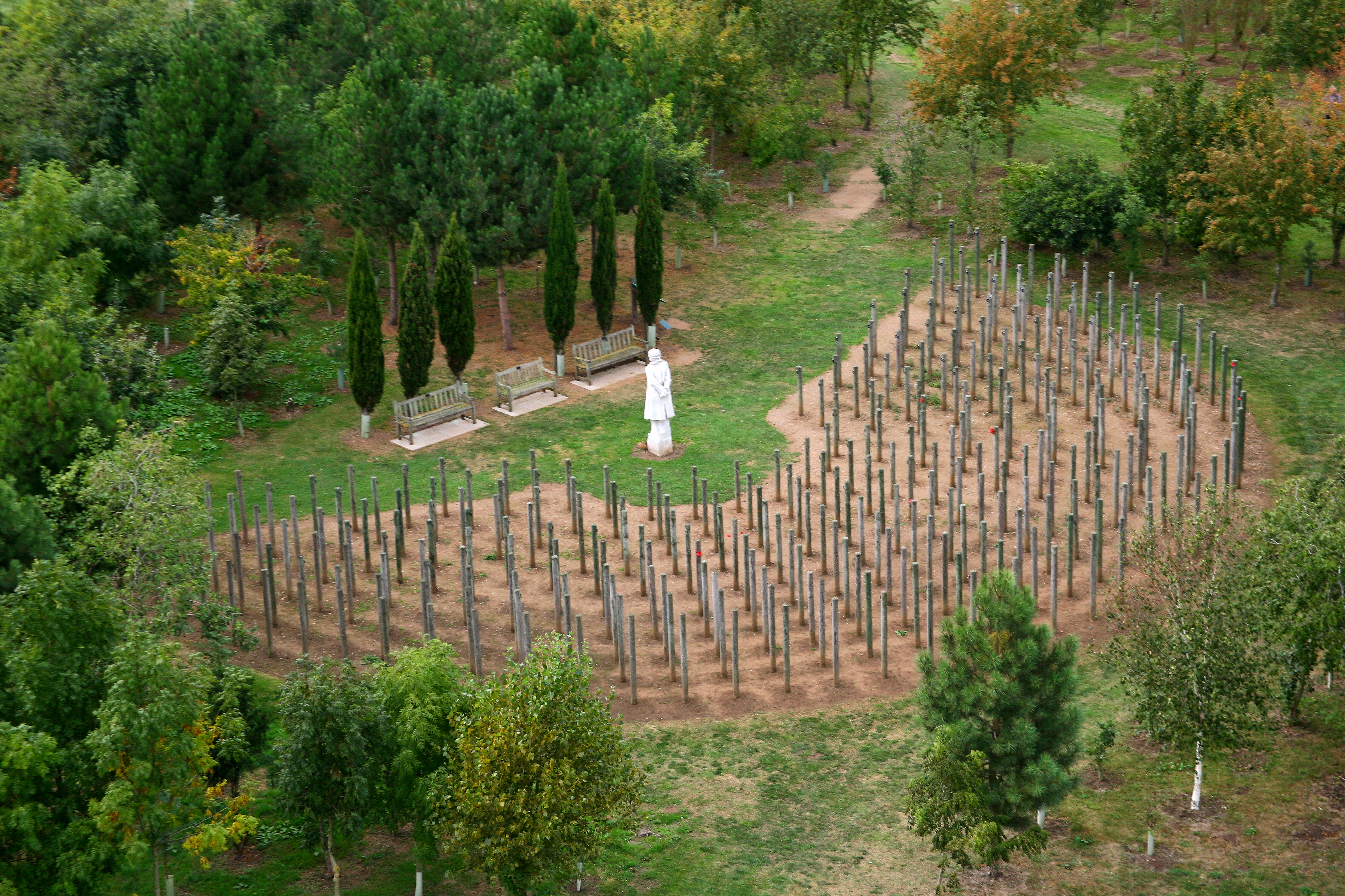 Image of the Shot at Dawn Memorial surrounded by trees captured by drone.