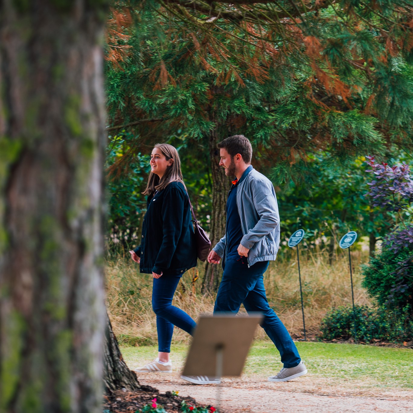 Visitors to the Arboretum on a walk